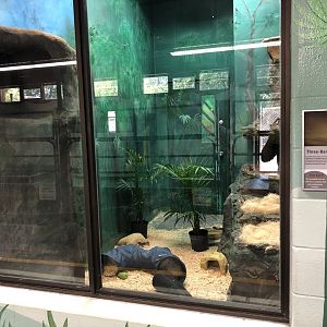 Three-Banded Armadillo Enclosure at Edmonton Valley Zoo (July 2022)