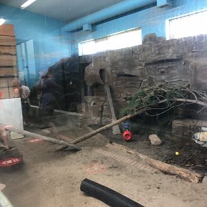 Hyrax Enclosure at Edmonton Valley Zoo (July 2022)