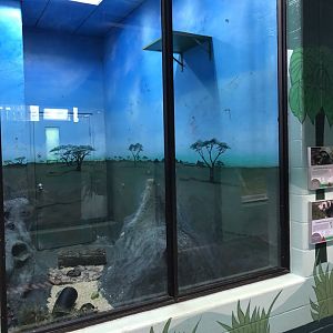 Domestic Ferret Enclosure at Edmonton Valley Zoo (July 2022)