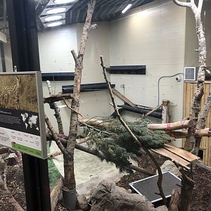 Serval Enclosure at Edmonton Valley Zoo (July 2022)