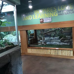 Inside the Sato Centre at Edmonton Valley Zoo (July 2022)