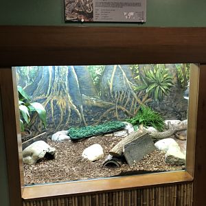 Ball Python Enclosure at Edmoton Valley Zoo (July 2022)