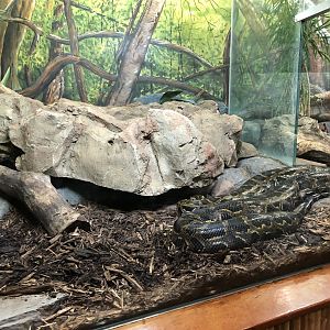 Burmese Rock Python Enclosure at Edmonton Valley Zoo (July 2022)
