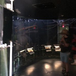 Nocturnal House at Edmonton Valley Zoo (July 2022)