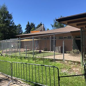 Outdoor Wallaby Enclosure at Edmonton Valley Zoo (July 2022)