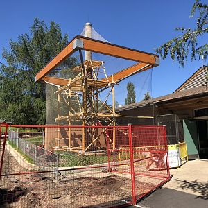 Outdoor Gibbon Enclosure at Edmonton Valley Zoo (July 2022)