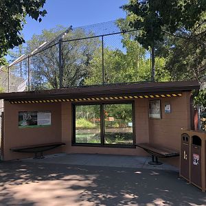 Tiger Viewing Area at Edmonton Valley Zoo (July 2022)