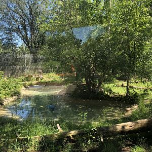 Siberian Tiger Enclosure at Edmonton Valley Zoo (July 2022)