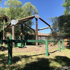Asian Elephant Paddock at Edmonton Valley Zoo (July 2022)