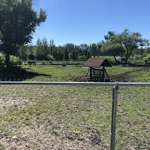 Grevy's Zebra Enclosure at Edmonton Valley Zoo (July 2022)