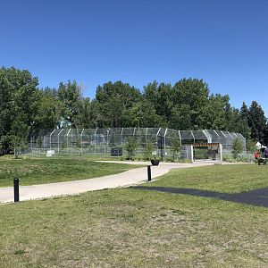 Siberian Tiger Enclosure at Edmonton Valley Zoo (July 2022)
