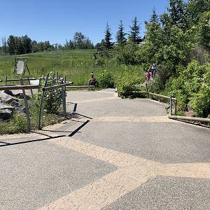 Path to Polar Extremes at Edmonton Valley Zoo (July 2022)