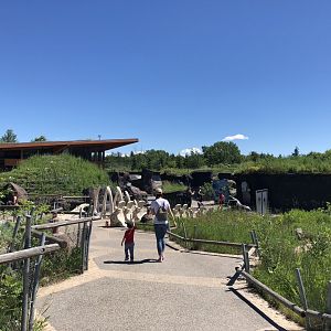 General View of Polar Extremes at Edmonton Valley Zoo (July 2022)