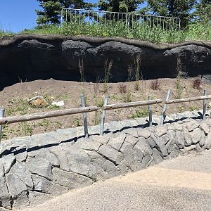 Arctic Ground Squirrel Enclosure at Edmonton Valley Zoo (July 2022)