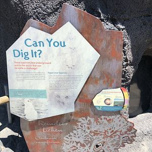 Arctic Ground Squirrel Sign at Edmonton Valley Zoo (July 2022)