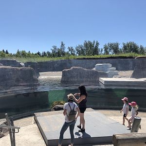 Seal Enclosure at Edmonton Valley Zoo (July 2022)