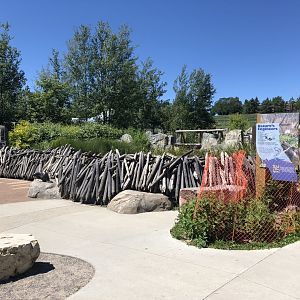 Beaver Dam at Edmonton Valley Zoo (July 2022)