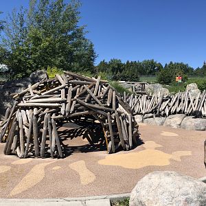 Beaver Lodge and Dam at Edmonton Valley Zoo (July 2022)