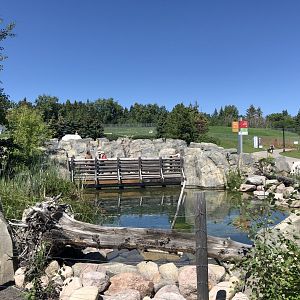 General View at Edmonton Valley Zoo (July 2022)