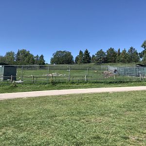 Sichuan Takin Enclosure at Edmonton Valley Zoo (July 2022)