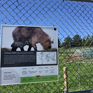 Sichuan Takin Sign at Edmonton Valley Zoo (July 2022)