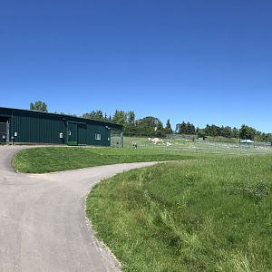 General View of Bactrian Camel and Sichuan Takin Enclosures at Edmonton Valley Zoo (July 2022)