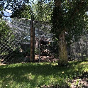 Snow Leopard Enclosure at Edmonton Valley Zoo (July 2022)