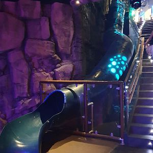 Entrance Options at Atlantis Aquarium Madrid, 20th May 2022