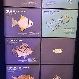 Signage Example (Mangrove Tank) at Atlantis Aquarium Madrid, 20th May 2022