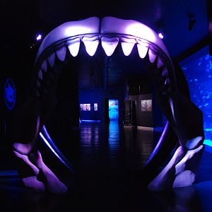 Megalodon Gateway at Atlantis Aquarium Madrid, 20th May 2022