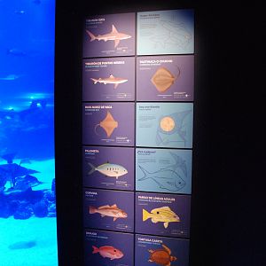 Main Tank Signage at Atlantis Aquarium Madrid, 20th May 2022