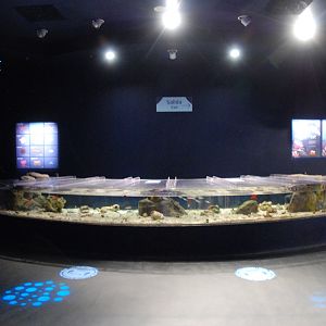 Invertebrate Touch Pools at Atlantis Aquarium Madrid, 20th May 2022