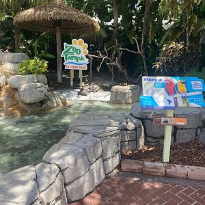 Entry Plaza- Macaw Exhibit