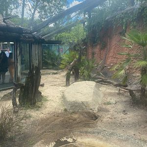 Asian Gardens- Komodo Dragon Exhibit
