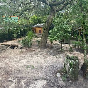 Wild Florida- Red Wolf Exhibit