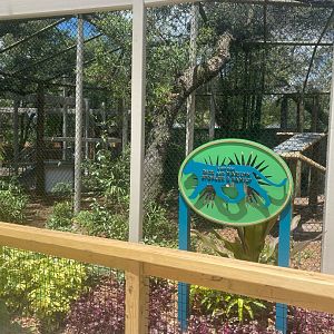 Wild Florida- Panther Exhibit #1