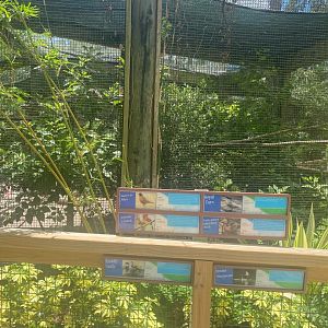 Wild Florida- Aviary (6 species)