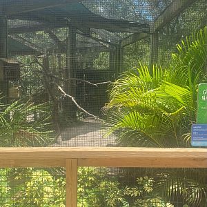 Wild Florida- Great Horned Owl Exhibit