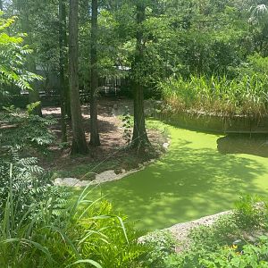 Wild Florida- Empty Exhibit