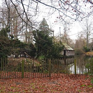 Dalmatian pelican pond, 2021-12-07