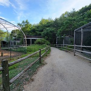 Maine Wildlife Park - Raptor aviaries