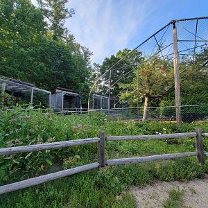 Maine Wildlife Park - Raptor aviaries, "ground bird" aviary