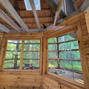 Maine Wildlife Park - Inside backyard birds aviary