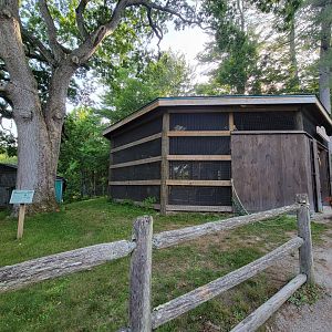 Maine Wildlife Park - Backyard Birds aviary