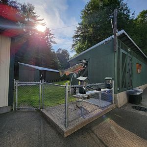 Maine Wildlife Park - Fish hatchery