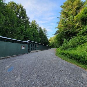 Maine Wildlife Park - Fish hatchery run