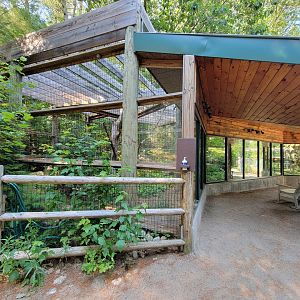 Maine Wildlife Park - Canada Lynx
