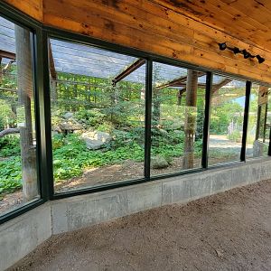 Maine Wildlife Park - Canada Lynx