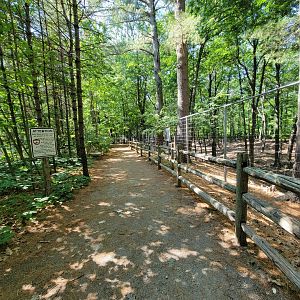 Maine Wildlife Park - Path along white-tailed deer