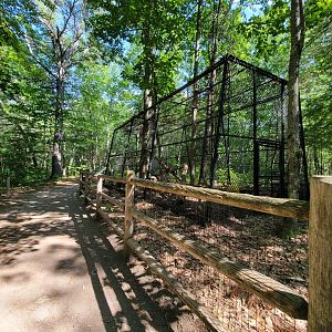 Maine Wildlife Park - Path along small mammals (fisher)